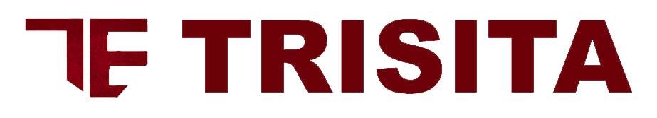 Trisita Engineering LLP. logo